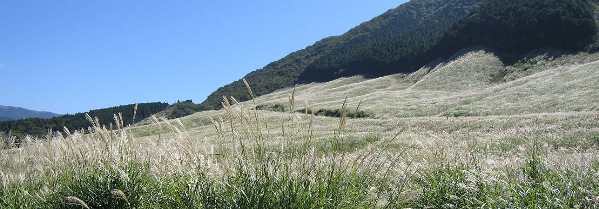 箱根千石原